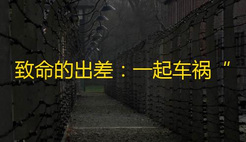 暗区突围辅助发卡网致命的出差	：一起车祸“撞碎”四个家庭